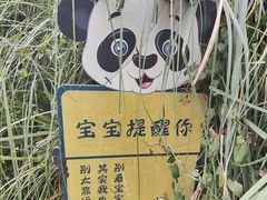-黔灵山公园