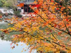 -汇龙潭