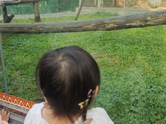 -深圳野生动物园