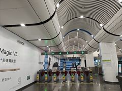 -大望路(地铁站)