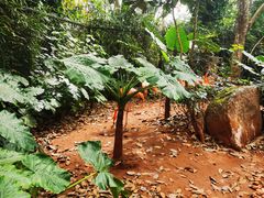 -海南热带野生动植物园