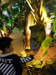 点击看大图 -恐龙探索乐园(磁器口店)