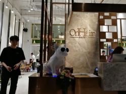 -OnHair Salon