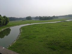 -北京麋鹿生态实验中心