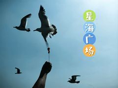 -星海广场
