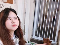 -是阿柴呀！柴犬咖啡·爱喵喵猫咖