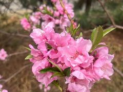 -北京明城墙遗址公园