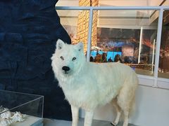 -上海中国航海博物馆