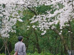 -杭州少年儿童公园