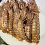 光吃帝王蟹我就能吃饱！