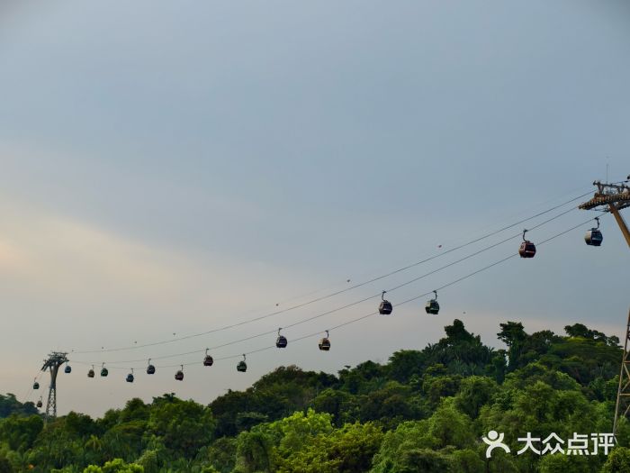 圣淘沙天际线斜坡滑车图片