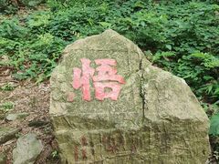 -冶父山国家森林公园