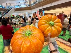 -友谊阳光城