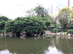 -九龙公园