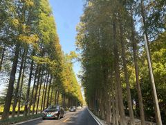 -歌斐颂巧克力小镇