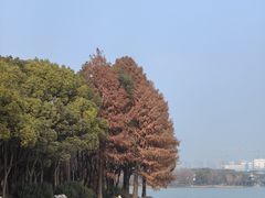 -高子水居