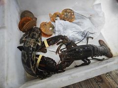 -阿浪海鲜连锁•海鲜加工•老字号(第一市场店)