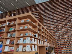 -朵云书院(滴水湖店)