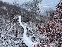 -紫金山山顶公园