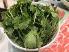 -草原传奇鲜羊火锅(桥北店)