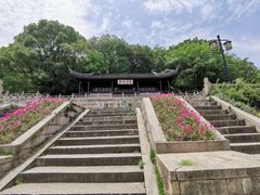 -苏州上方山国家森林公园