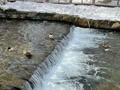 -水磨沟公园