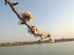 -阳澄湖半岛旅游度假区