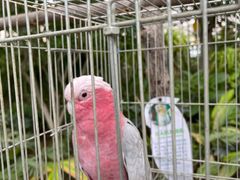 -南宫五洲植物乐园