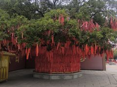 -广州莲花山旅游区