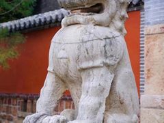-普照寺