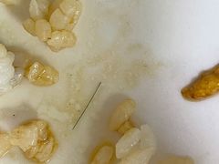 -润德轩清真菜馆(宏大路店)