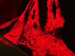 -安徽省地质博物馆