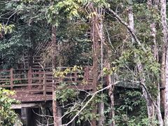 -野象谷景区