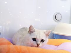 -龟与熊猫宠物公园(南坪店)