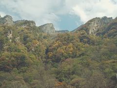 -青峰峡国家森林公园