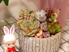 -鹿岛会员店 (龙湖三千集天街店)