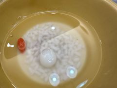 -黑河坝泡姜鸡贡椒鱼(贾旗路店)