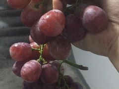 -1点点(领事馆店)