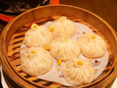 -大连君悦酒店·星海湾壹号Dalian·Dalian(星海广场店)