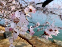-颐和园