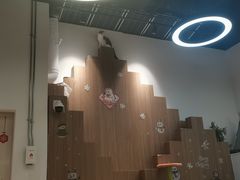-COLOR PETS 撸猫馆·购猫·猫咖(长风大悦城店)