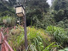 -南靖田螺坑土楼群景区