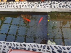 -丽江庭院之爱在路上(西单店)