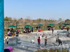 -季高兔窝窝亲子园(上海薰衣草公园店)