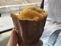 -大冬树山垭口