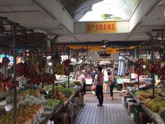 -大湾区中央湿地公园-十九涌