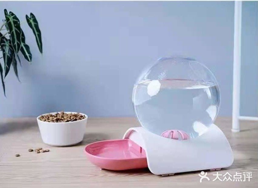 撸猫族必备家具，你怎么可以没有