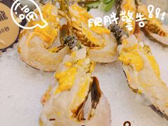 -喜聚薈·花膠雞海鮮火鍋(越秀店)