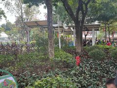 -荔湾区儿童公园