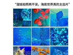 -巧克力渔家.小船海鲜家常菜(万平口店)